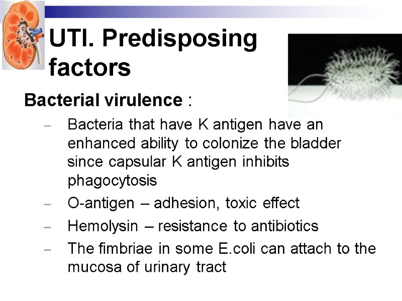 UTI. Predisposing  factors Bacterial virulence : Bacteria that have K antigen have an